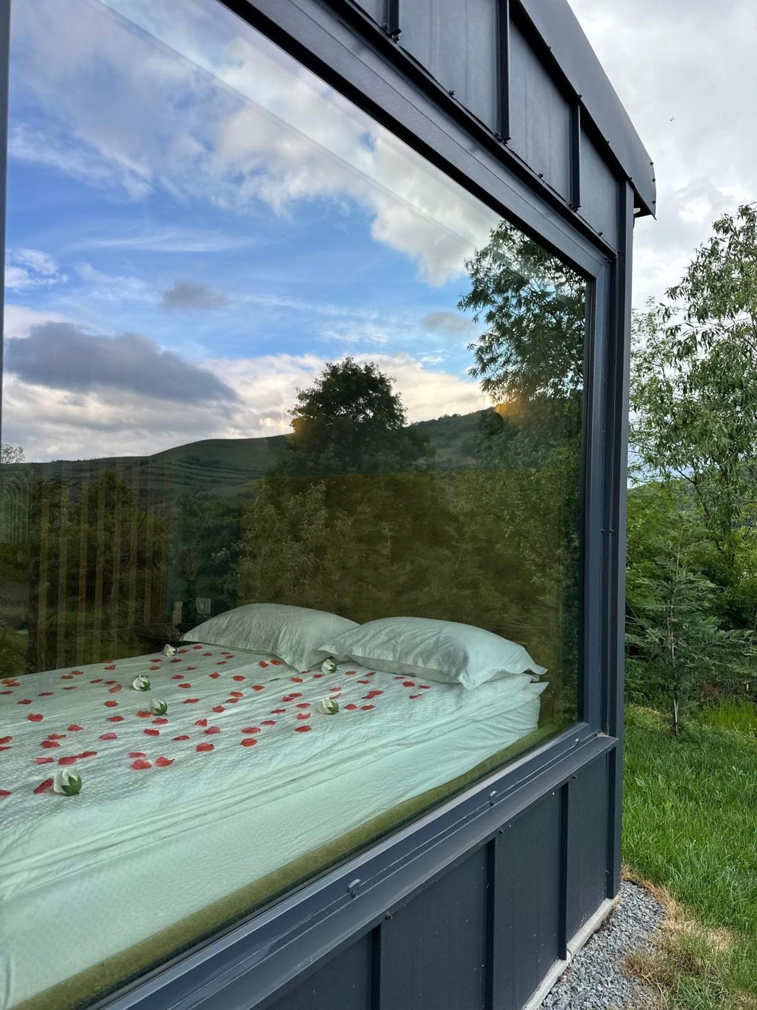 Vila Kubiq Transalpina Petresti Exteriér fotografie